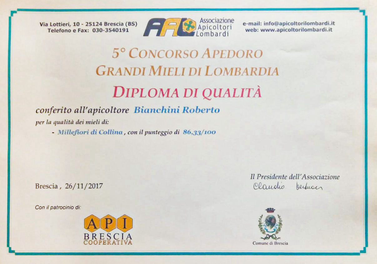 Apedoro 2019